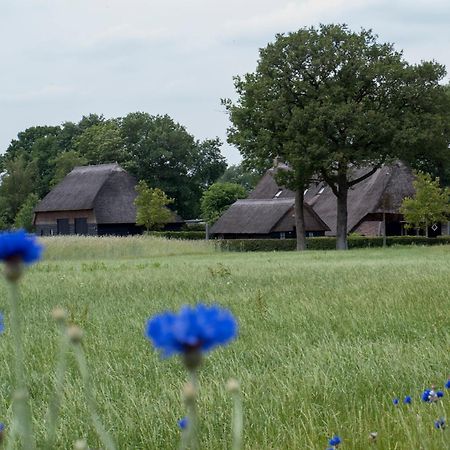 Gastenverblijf Lheederhof Dwingeloo Dış mekan fotoğraf