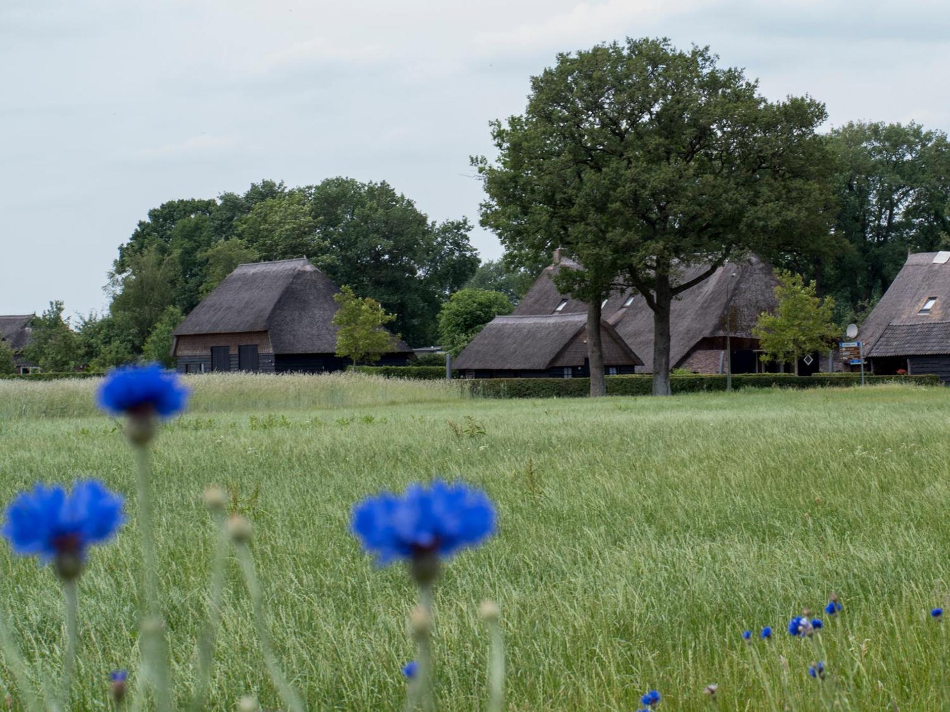 Gastenverblijf Lheederhof Dwingeloo Dış mekan fotoğraf